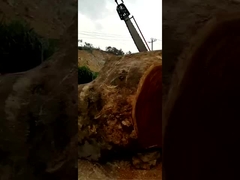 Μηχανή διασταύρωσης μεγάλων κορμών σχιστήρα αλυσοπρίονα