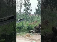 Μηχανή αφαίρεσης φλοιών δέντρων/αφαίρεση φλοιών από ξύλα