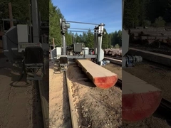 Πριονοκορδέλα βαρέως τύπου