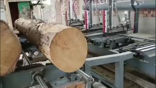 Πριονιστήριο κατακόρυφης ταινίας με υδραυλικό κούτσουρο - πνευματική λαβή κορμού